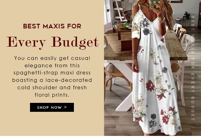 BestMaxisForEveryBudget