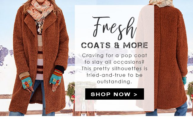 FreshCoatsMore