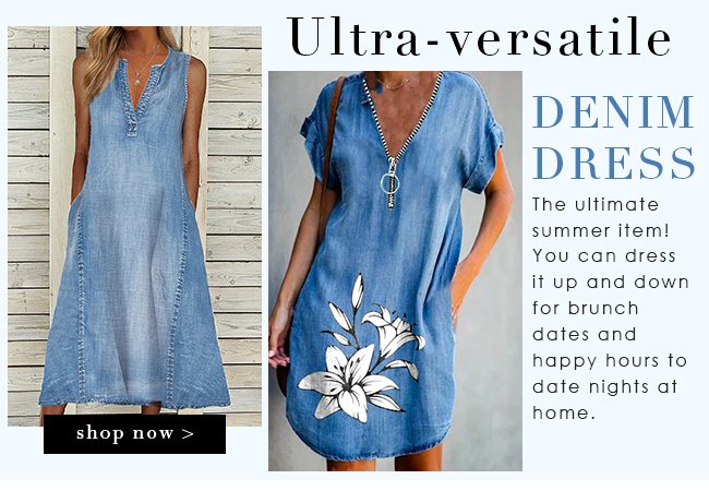 Ultra-versatileDenimDress