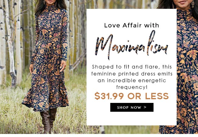 LoveAffairwithMaximalism